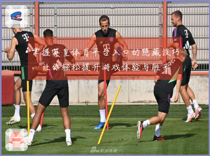 掌握英皇体育平台入口的隐藏技巧，让你轻松提升游戏体验与胜率
