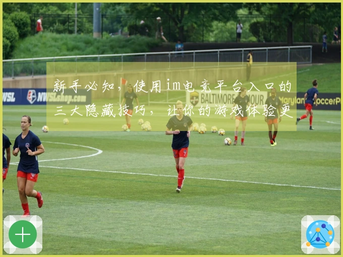 新手必知，使用im电竞平台入口的三大隐藏技巧，让你的游戏体验更上一层楼！