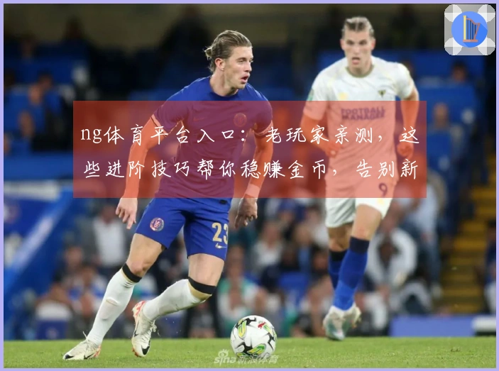 ng体育平台入口：老玩家亲测，这些进阶技巧帮你稳赚金币，告别新手村！