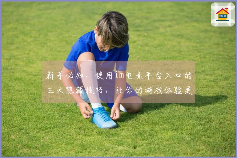 新手必知，使用im电竞平台入口的三大隐藏技巧，让你的游戏体验更上一层楼！